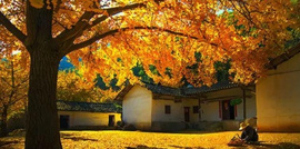 ?url=http%3A%2F%2Fbjnewsrec-cv.ws.126.net%2Flittle4124bc47aa7j00t2g0se001td200hs00atg00hs00at.jpg