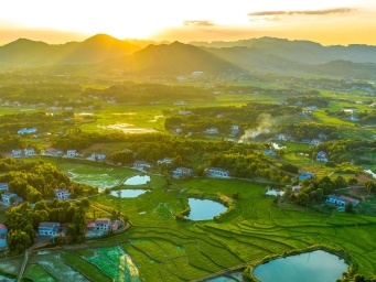 万千气象点亮乡村振兴