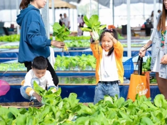 台胞登陆创业“三级跳”：从“大脸鸡排”开始不断求变