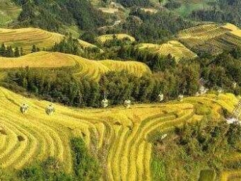 广西龙胜：金秋梯田迎客来
